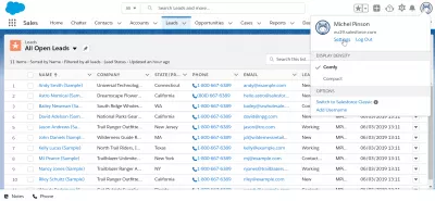 Comment changer ou réinitialiser facilement un mot de passe d'utilisateur avec les stratégies de mot de passe SalesForce? : Menu des paramètres utilisateur