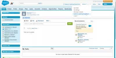 SalesForce ClassicからLightningへの簡単な移行手順 : SalesForceクラシックからLightningに切り替える