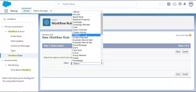 How to create a workflow in SalesForce? : Selecting the workflow object that will trigger the actions