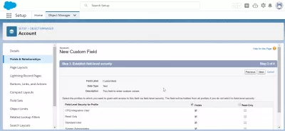 How to create a custom field in SalesForce? : Established field level security