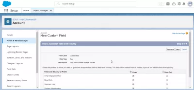 Kako stvoriti prilagođeno polje u SalesForceu? : Uspostavljena sigurnost na nivou terena