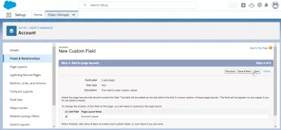Kuidas luua kohandatud väli rakenduses SalesForce? : Lisage lehe paigutusele