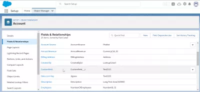 Hvordan lage et tilpasset felt i SalesForce? : Tilpasset felt opprettet i SalesForce Lightning