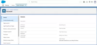 Bagaimana cara membuat bidang khusus di SalesForce? : Menu bidang dan hubungan di Object Manager