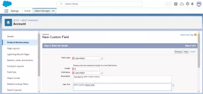 How to create a custom field in SalesForce? : Basic information for custom field