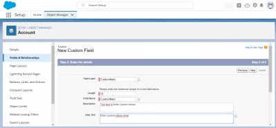 Kuinka luoda mukautettu kenttä SalesForcessa? : Perustiedot mukautetulle kentälle