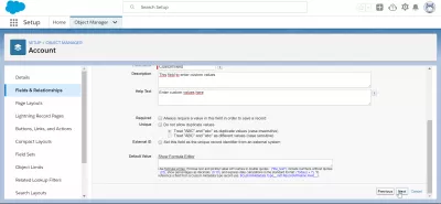 How to create a custom field in SalesForce? : Advanced information for custom field