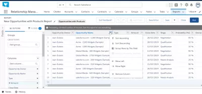 Kako stvoriti izvještaj u SalesForce? : Opcije prilagođavanja stupaca izvješća