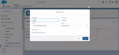 SalesForce: delete user in few easy steps : Deactivate user checkbox in edit user setup