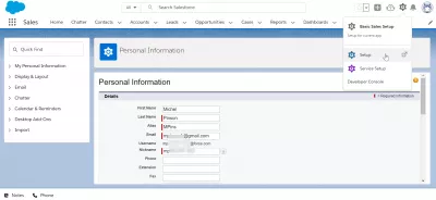 SalesForce: delete user in few easy steps : Interface example: Setup menu in SalesForce Lightning interface