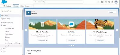 SalesForce: delete user in few easy steps : User menu under administration