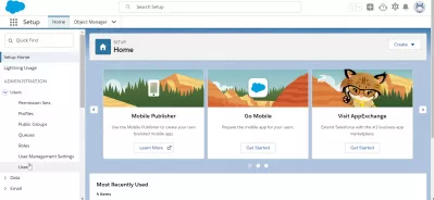 SalesForce: slett brukeren i noen enkle trinn : Brukermeny under administrasjon