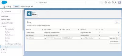 SalesForce: delete user in few easy steps : Edit user menu in users setup