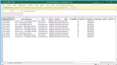 Bagaimana cara mengekspor data dari SalesForce ke Excel? : Data yang diekspor dari SalesForce ke Excel spreadsheet