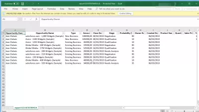 Jak mohu exportovat data z SalesForce Excel? : Data vyvážená z SalesForce do tabulky Excel