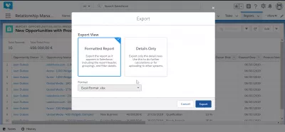 Kako lahko izvozite podatke iz SalesForce v Excel? : Možnosti prikaza prikaza samo v formatiranem poročilu in podrobnostih