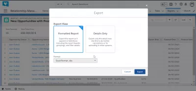 Kuidas ma saan eksportida andmeid * SalesForce'i * Excel? : Ekspordi vaatamisvalikute vormindatud aruanne ja üksikasjad