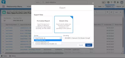 Jak mohu exportovat data z SalesForce Excel? : Výběr formátu exportu mezi Excelem a čárkou