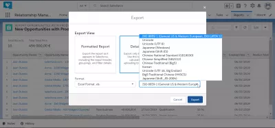 How can I export data from SalesForce to Excel? : Characters encoding export options