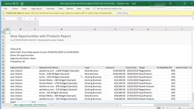 How can I export data from SalesForce to Excel? : Formatted data export example