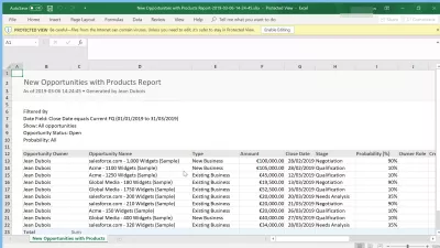 Làm cách nào tôi có thể xuất dữ liệu từ SalesForce để Excel? : Ví dụ xuất dữ liệu được định dạng