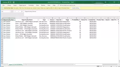 Nasıl Excel'e * SalesForce'ta verileri * aktarabilirim? : Detaylar yalnızca tarih verme örneği