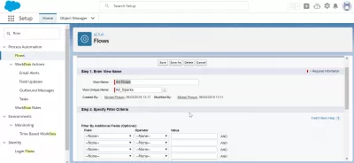 SalesForce: How to activate a flow in the SalesForce flow builder? : Filling in information to create a new view