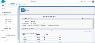 SalesForce: Jak aktywować przepływ w narzędziu do tworzenia przepływów SalesForce? : Wypełnianie informacji, aby utworzyć nowy widok