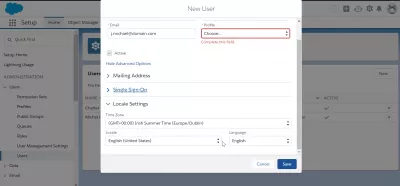 How to add users in SalesForce Lightning? : New user creation form
