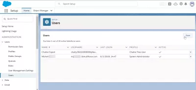 Hvordan legge til brukere SalesForce Lyn? : Legg til ny brukerknapp