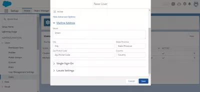 Jak dodać użytkowników w SalesForce * * Błyskawica? : Zaawansowane opcje adresu pocztowego