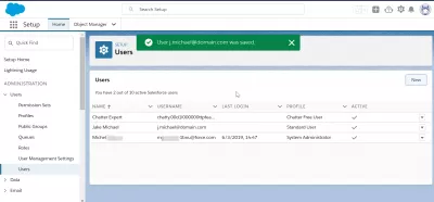Как да добавите потребители в SalesForce Lightning? : Екранът за управление на настройката на потребителите след успешно създаване на потребителя