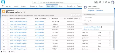 Hogyan Lehet Megváltoztatni A Nyelvet A Salesforce Villámban? : Felhasználói paraméterek menü