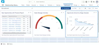 Hur skapar man en instrumentpanel i SalesForce Lightning? : Dashboard skapad i SalesForce