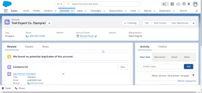 How to Customize Salesforce Lightning Home Page : Customized Accounts tab
