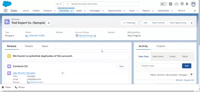 כיצד להתאים אישית את דף הבית של Salesforce Lightning : כרטיסיית חשבונות בהתאמה אישית