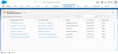 How to Customize Salesforce Lightning Home Page : Customized opportunities tab