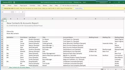 Jak exportovat kontakty z SalesForce blesk? : Kontakty Exportované z SalesForce Lightning do tabulky Excel