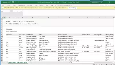 Jak exportovat kontakty z SalesForce blesk? : Kontakty exportované z SalesForce Lightning do tabulky aplikace Excel