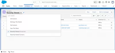 Comment utiliser SalesForce Lightning? : Application Contacts