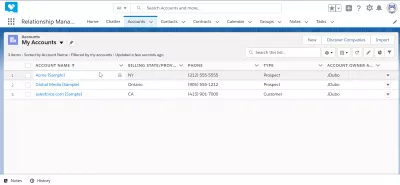 כיצד להשתמש ב- SalesForce? : דוגמה לממשק של SalesForce: מודול חשבונות