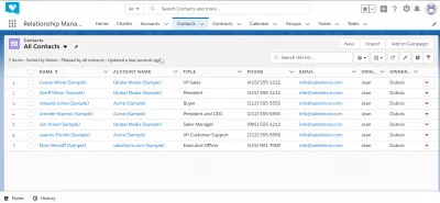 如何使用SalesForce？ : 销售队伍界面示例：联系人模块