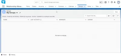 როგორ გამოვიყენოთ SalesForce? : SalesForce ინტერფეისის მაგალითი: ჯგუფების მოდული