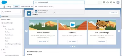 Salesforce: Hvordan bruke tilpassede innstillinger? : Søker etter tilpassede innstillinger i SalesForce Oppsett