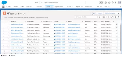 SalesForce: How To Use Leads? Everything You Need To Know : SalesForce leads tab in dashboard