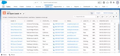 SalesForce: Hvordan bruke potensielle kunder? Alt du trenger å vite : * Salesforce* leder fane i dashbordet
